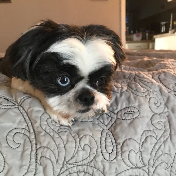 Meet your Posher, Michael - Picture 4 of 4